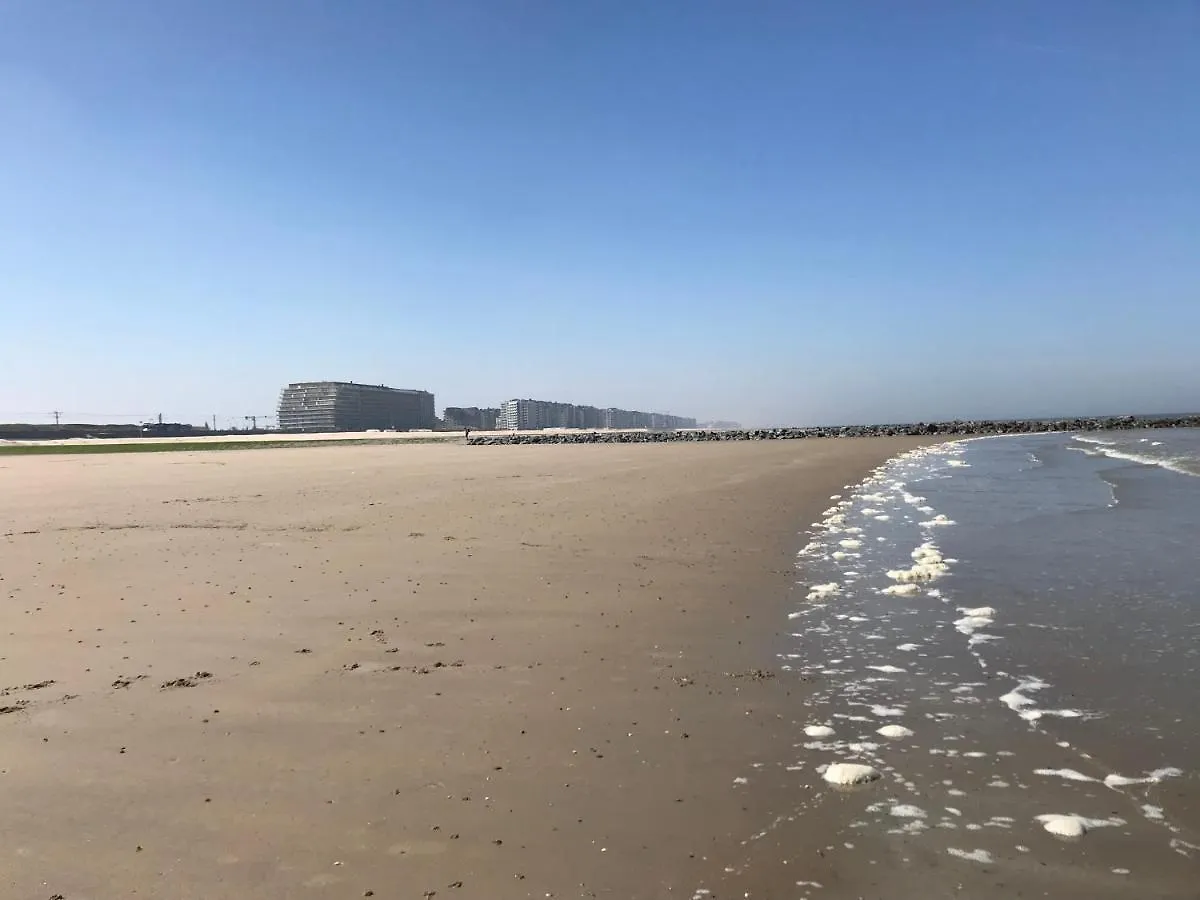 Into The Sea Apartment Middelkerke
